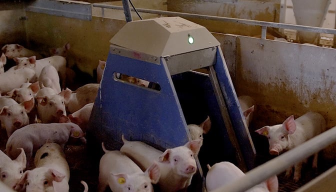 Blog-AutoPig