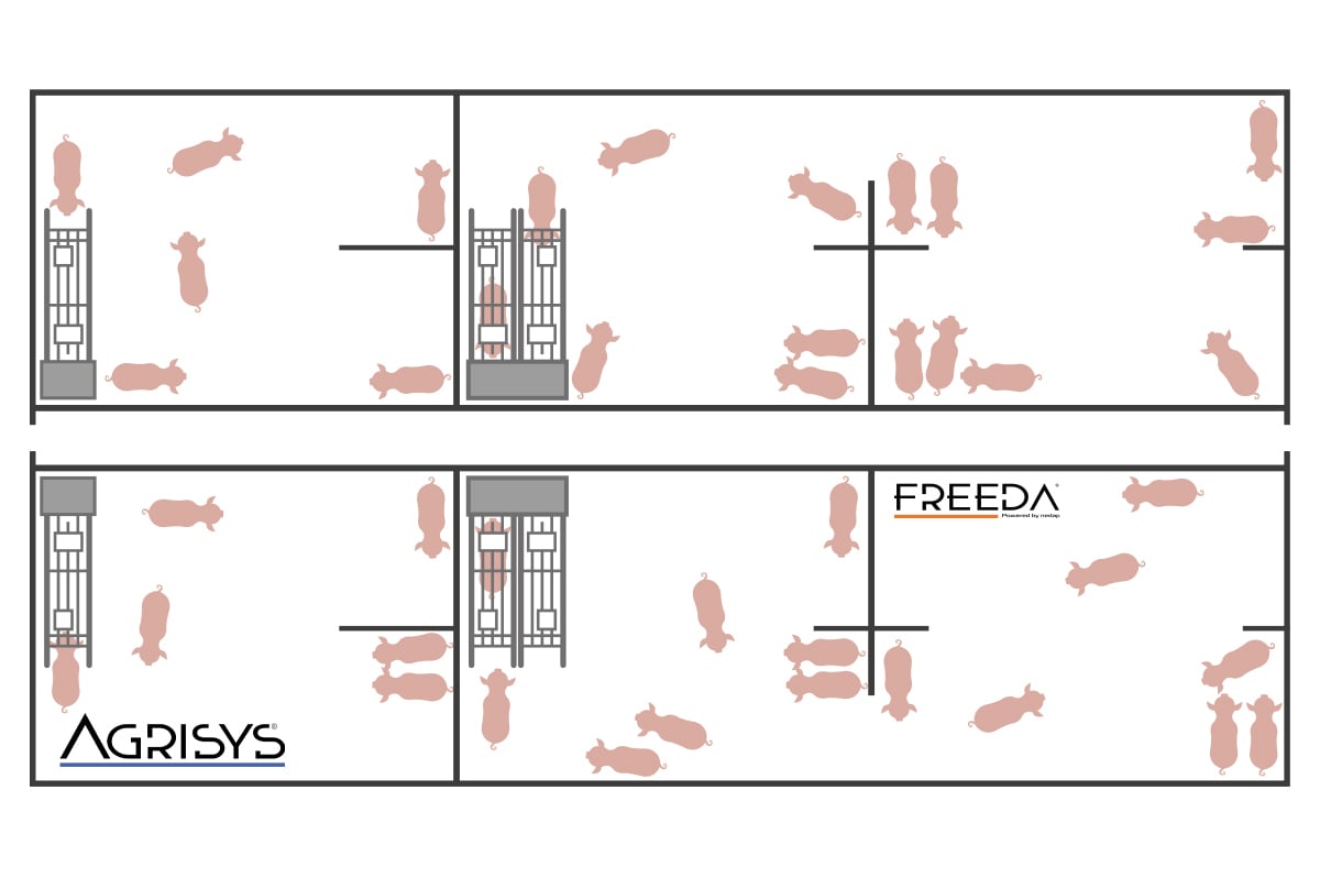 Graphics