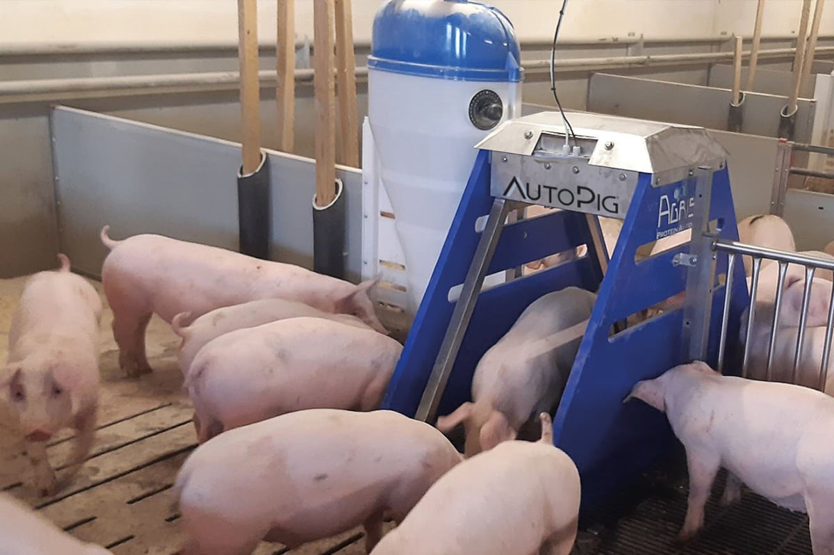 AutoPig®