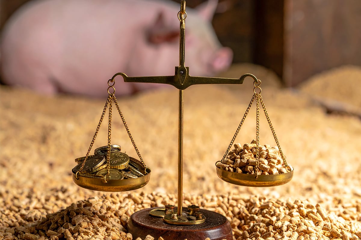 feedcosts