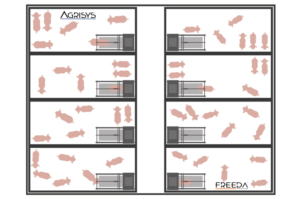 layout-premium