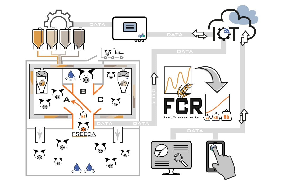 sorting-multiphase-principle-graphics