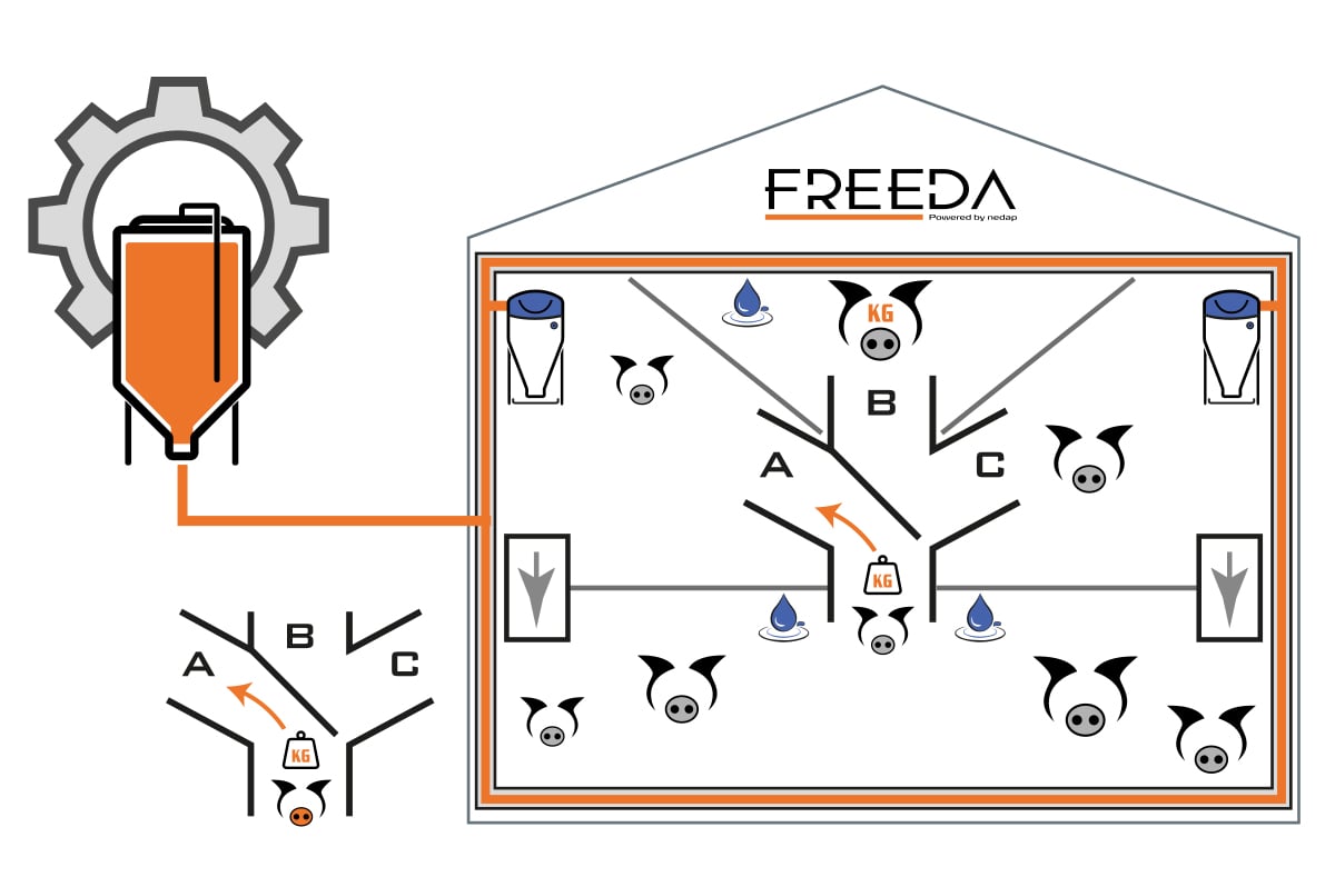 sorting-principle-graphics