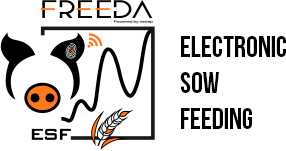 box-electric-sow-feeding
