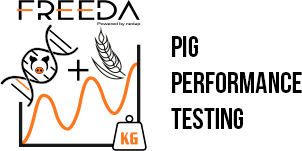 box-pig-performance-testing